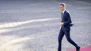 Sánchez, 'Spagna è attore chiave dell'architettura di difesa Ue'