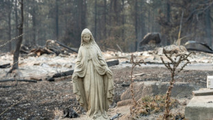 Incendies aux Etats-Unis: un suspect arr&ecirc;t&eacute;, les pompiers luttent pied &agrave; pied